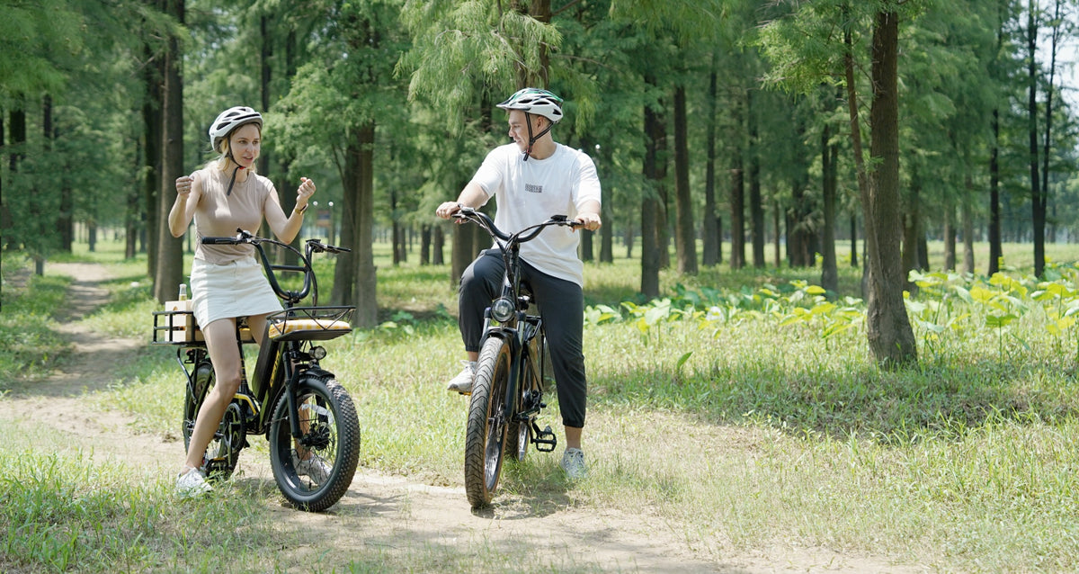 What are the types of batteries for ebikes? CEAYA Ebike Store