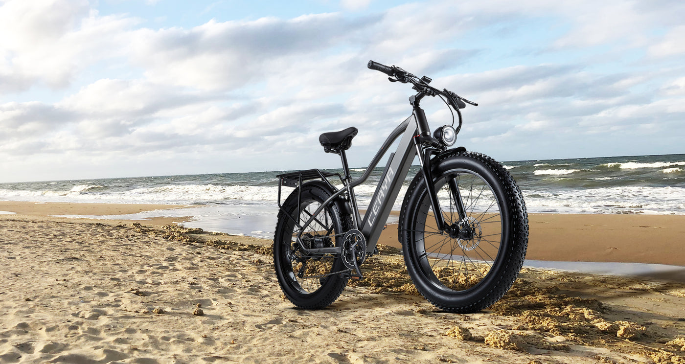 Electric bike RX20 ceaya