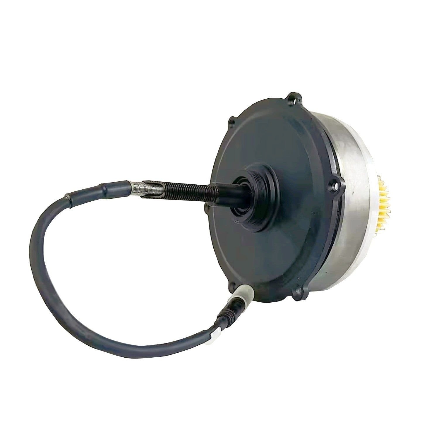 Electric Bike Motor
