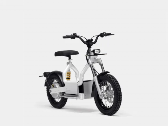 How to choose an electric bike, what are the advantages?
