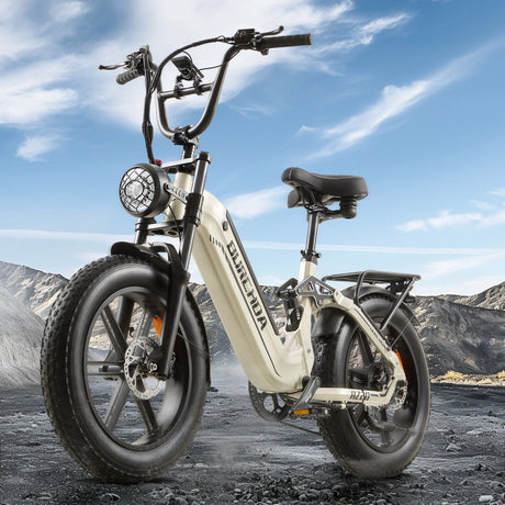 Why Do Customers Choose to Buy Ebikes?