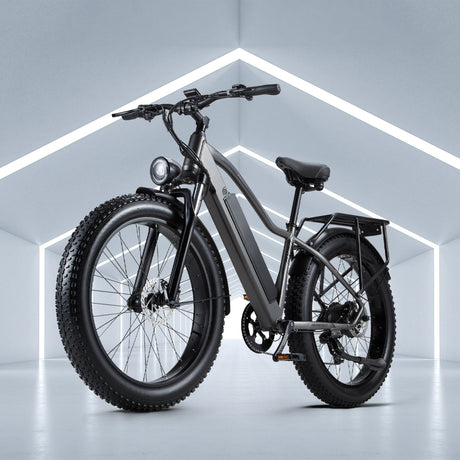 Towards a Sustainable Revolution: The Power of the Two-Wheeled E-Bike