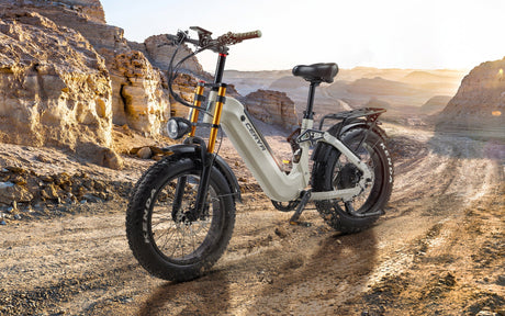 Electric Fat Bikes - The Ultimate Riding Pleasure for Adventure Enthusiasts