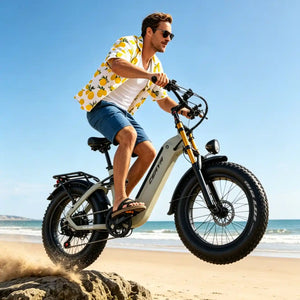 Fat Tire Bike