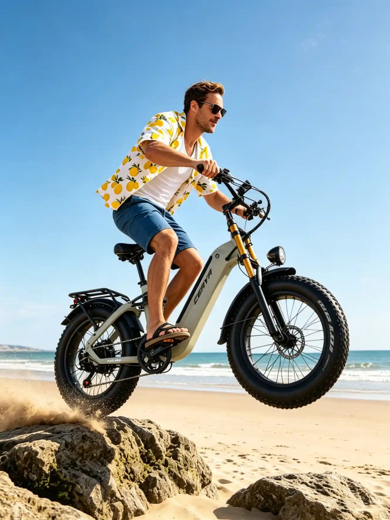 Fat Tire E-Bike