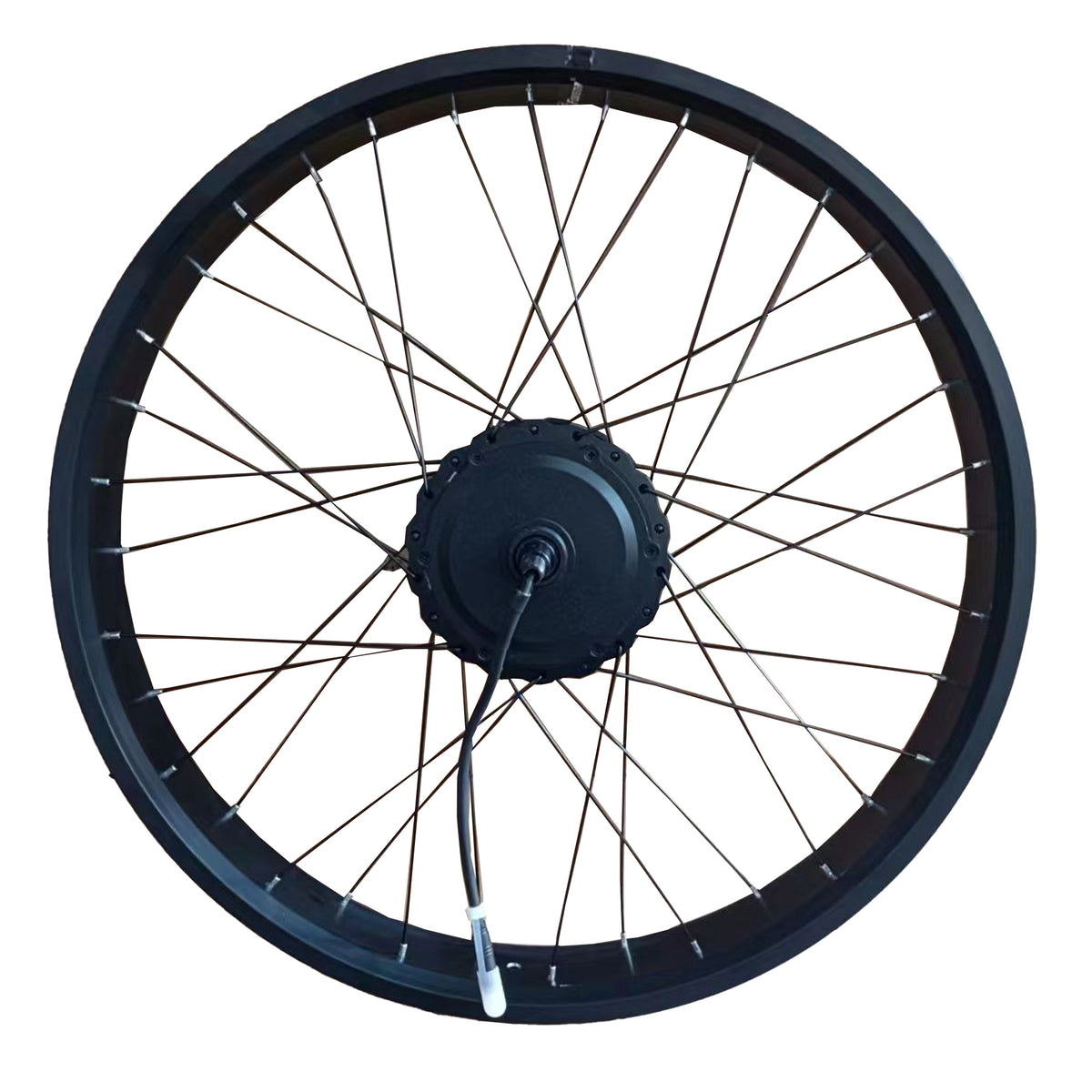 Electric Bike Rear Wheel Set-20X4.0 Inch – CEAYA Ebike Store