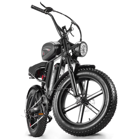 CEAYA Electric Bike CEAYA RHINO