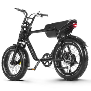 CMACEWHEEL Electric Bike K20