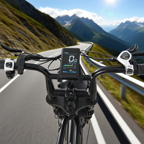 Electric Bike Meter YL91F