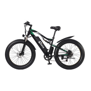 CEAYA Electric Bike WL01