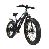 Bicicletta elettrica CEAYA WL01