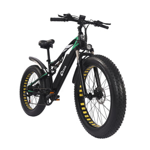 CEAYA Electric Bike WL01
