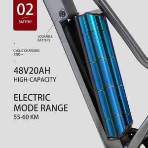 CEAYA Electric Bike RX20