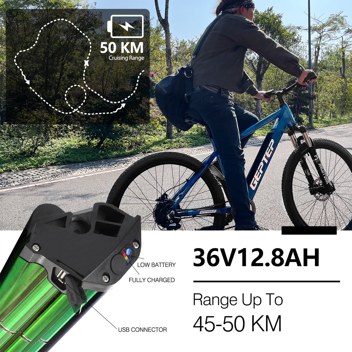 GEPTEP Bici elettrica Pathfinder 1.0