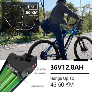 GEPTEP Bici elettrica Pathfinder 1.0