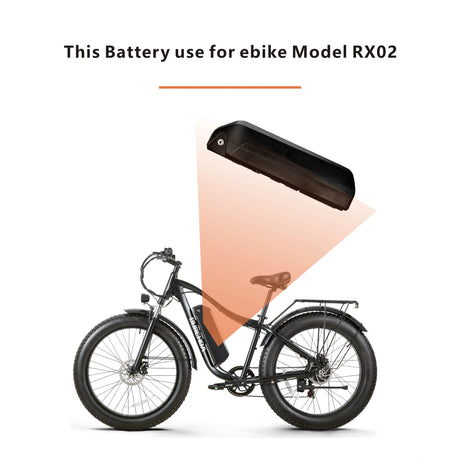 Batteria elettrica 48 V15AH della bici per RX02