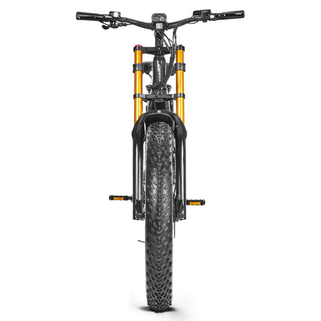 CEAYA Electric Bike M500