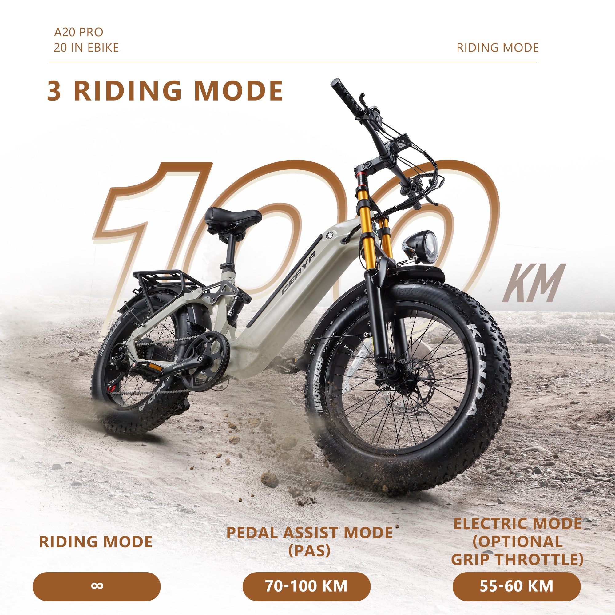 CEAYA Electric Bike A20PRO