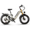 CEAYA eBikes