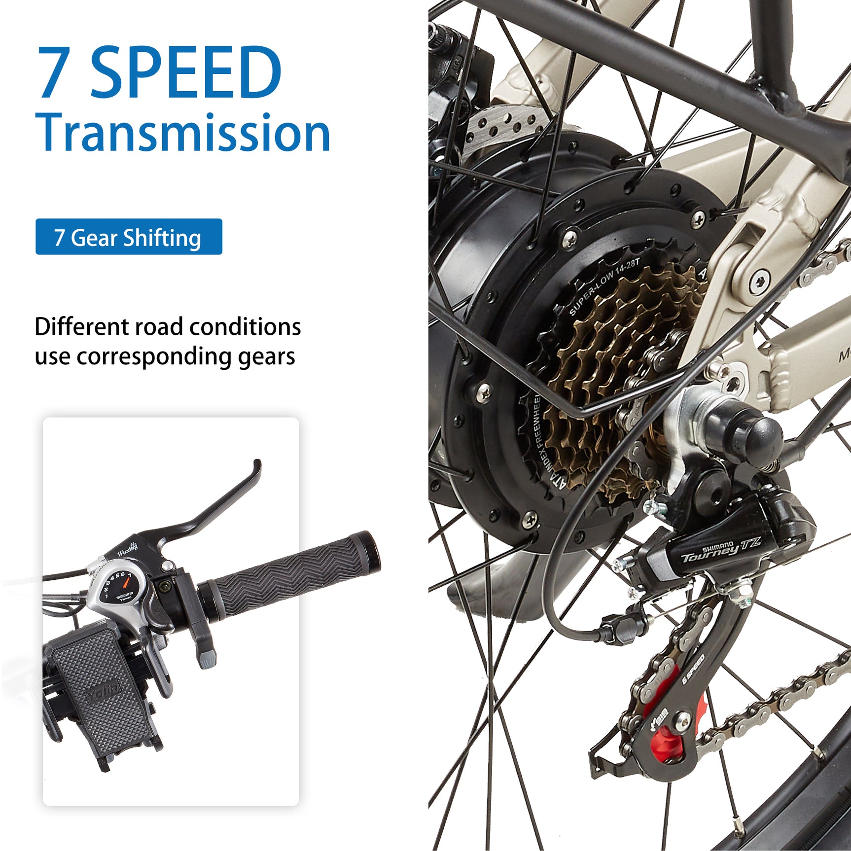 CEAYA Electric Bike RX10