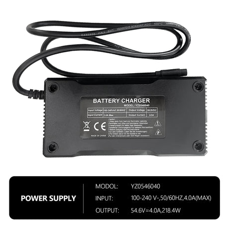 Charger for EBike CMACEWHEEL RX20MAX