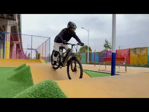 CEAYA Electric Bike RX10