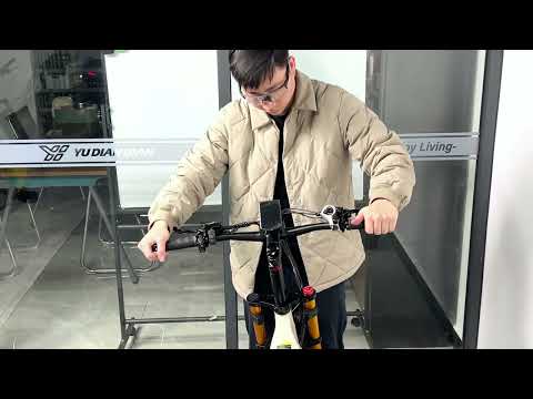 elektrofahrrad aktie CEAYA Elektrofahrrad A20PRO – CEAYA Ebike Store