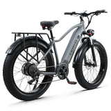 CEAYA Bici Elettrica RX50