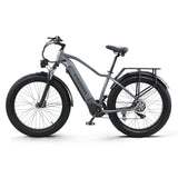 CEAYA Electric Bike RX50