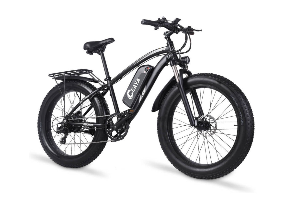 Bicicletta elettrica CEAYA MX02S