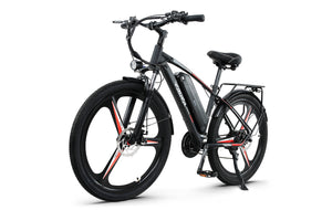 CEAYA + Serie Elektro fahrrad RX60