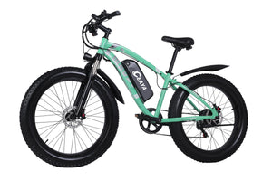 Bici elettriche CEAYA MX02S-Special