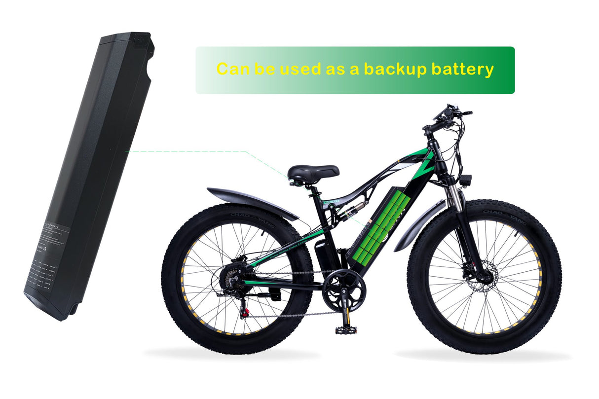 Batterie électrique 48V17AH de vélo pour WL01