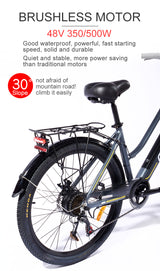 Bicicletta elettrica serie CEAYA+ G10